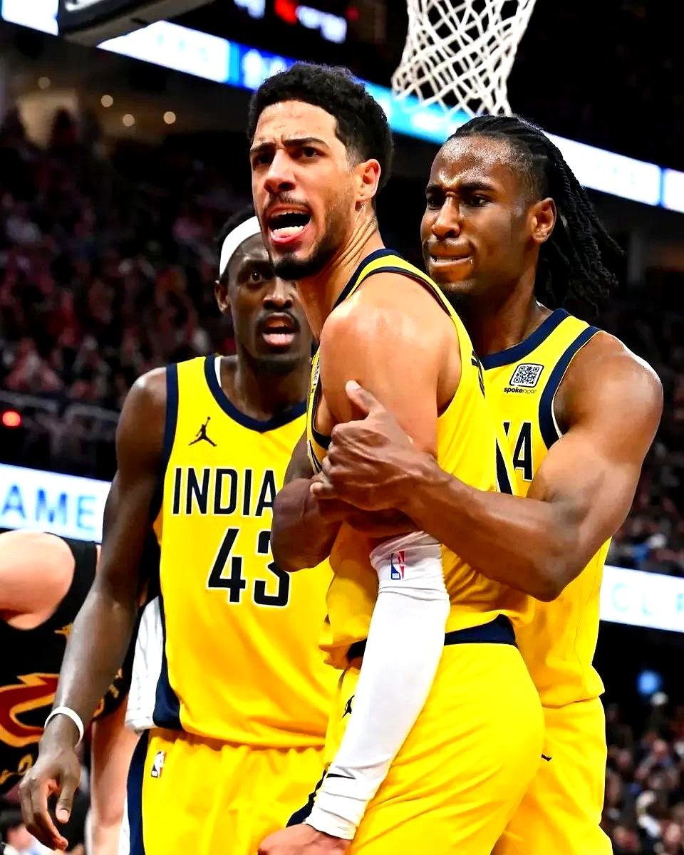 魔术队新秀表现出色，成为团队新宠儿！的简单介绍