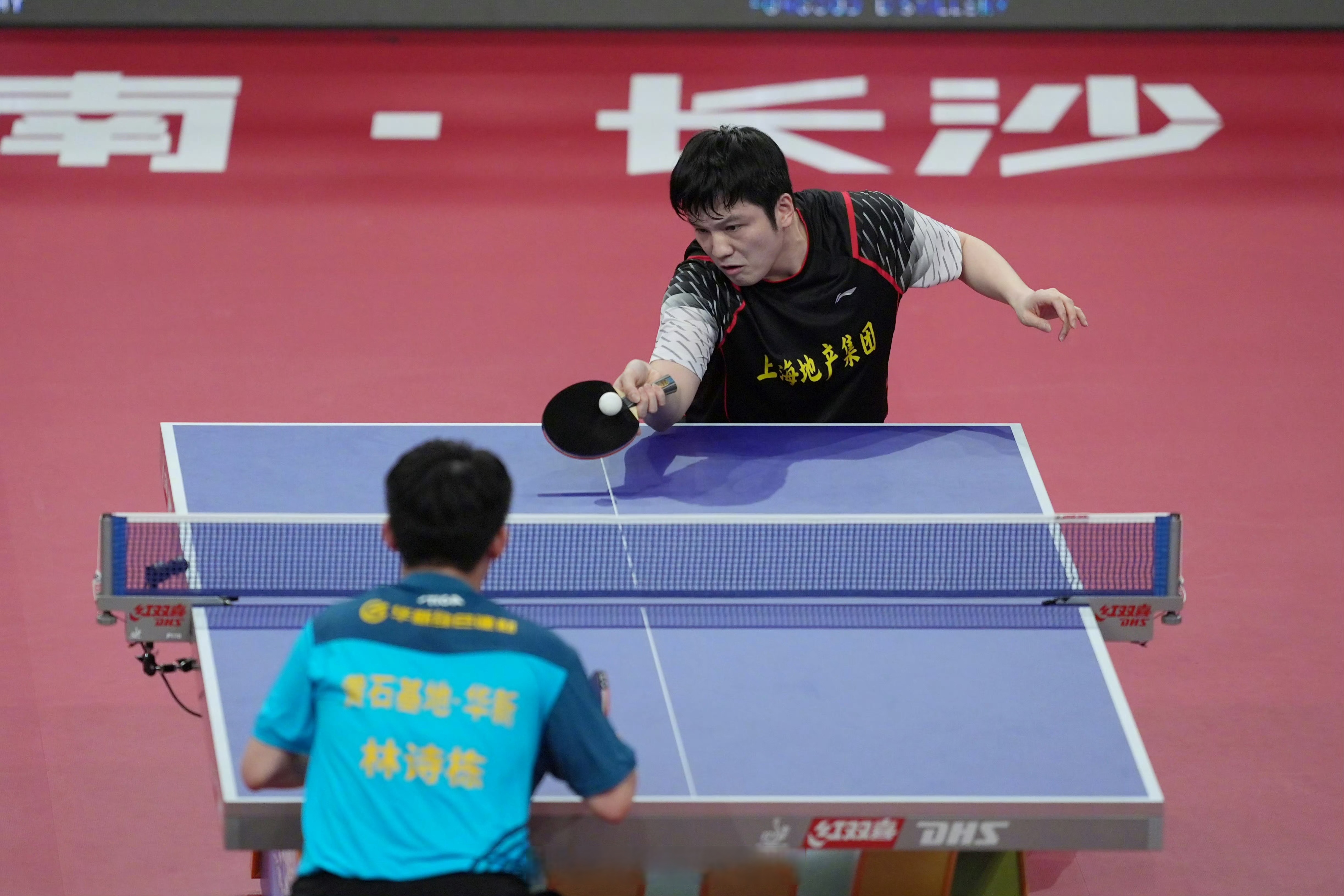 奥地利队横扫法国队，樊振东状态火热