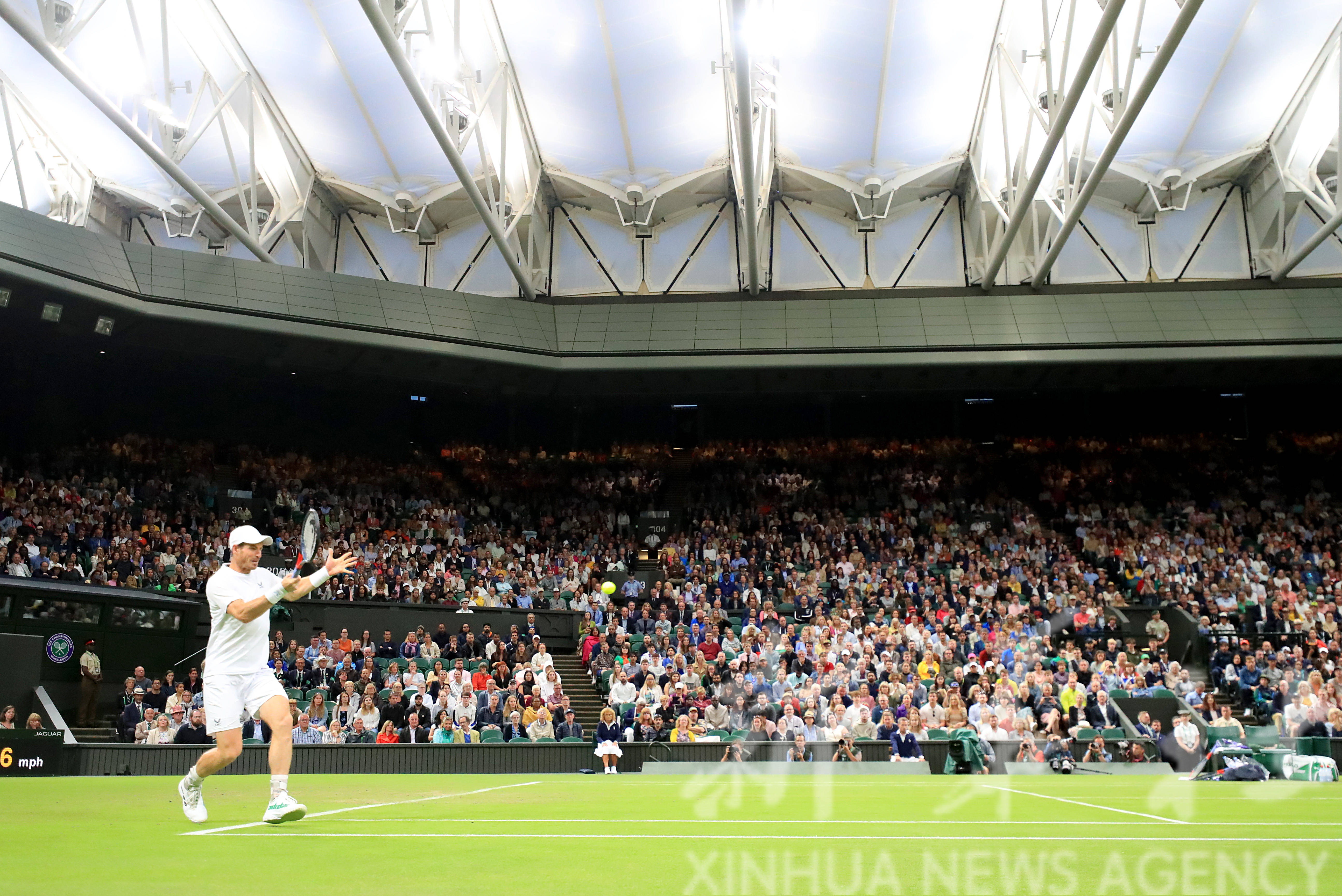 法网横扫温网，穆雷高光表现