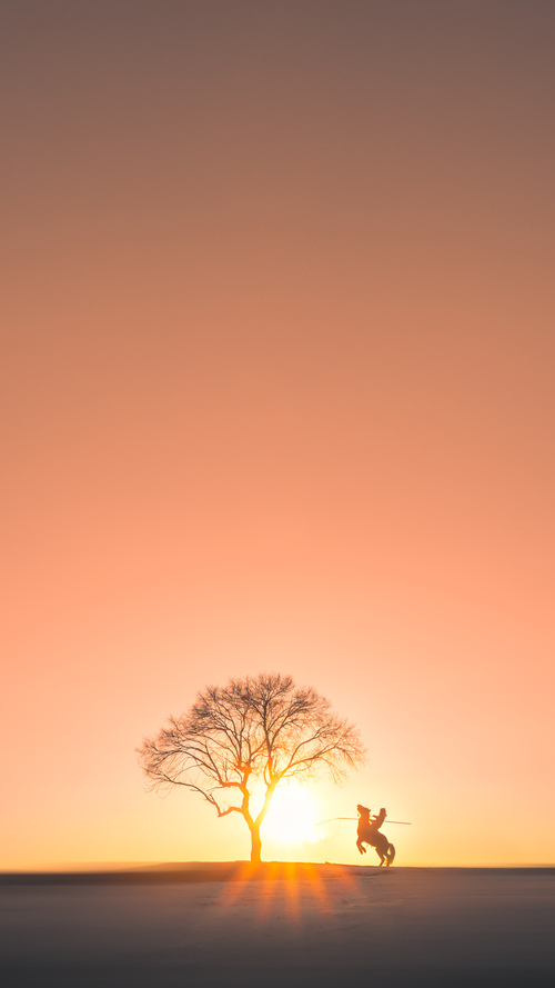 撕裂时空的足球战士，当切尔西席卷加拿大，弗拉霍维奇在奥运烽火中加冕