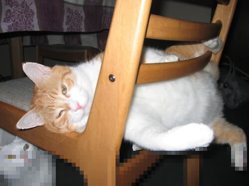 后脚横扫巴西,前脚接管街道,南美体育的红色狂飙日