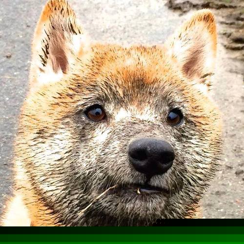 奇才打穿尼克斯，伦纳德欧冠决赛接管比赛，体育之夜的跨界传奇