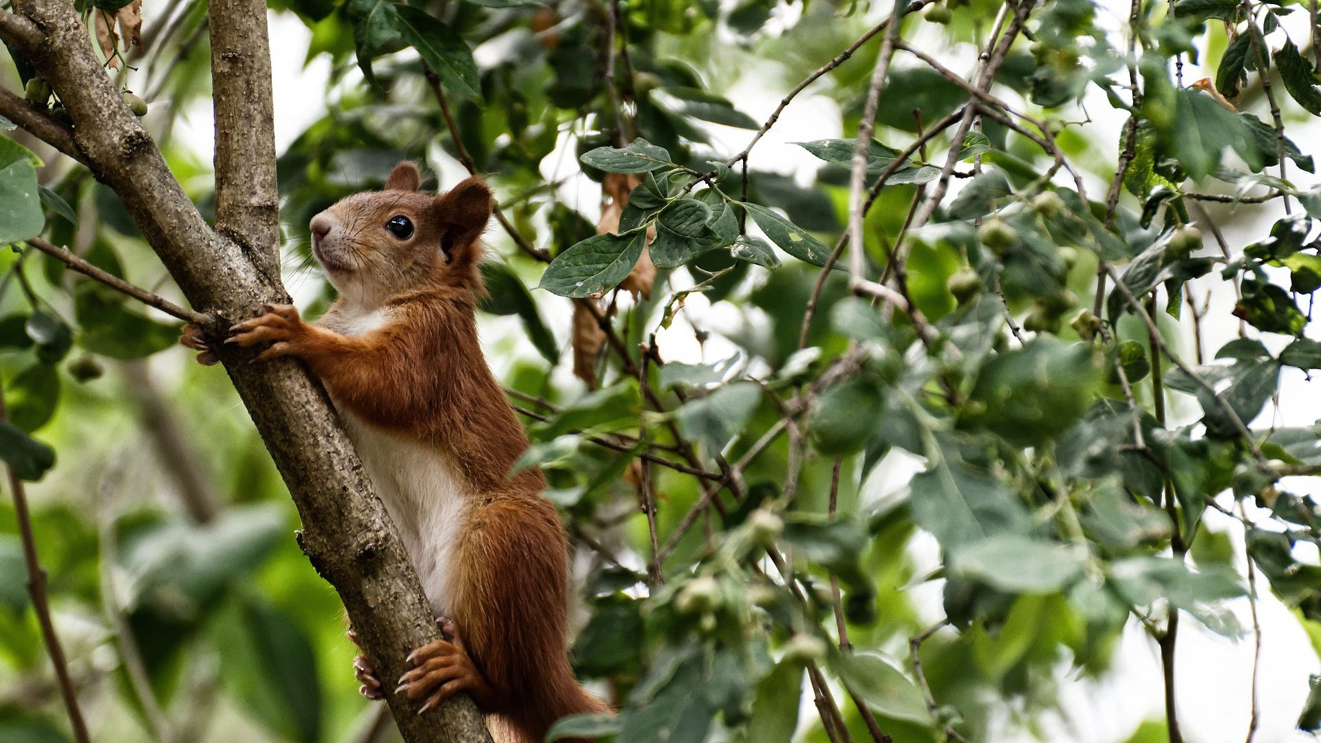 东方破晓时,西方正黎明,一场体育的能量守恒