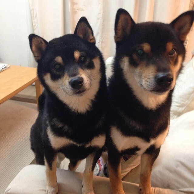 暗夜极速独舞,凯塞多于街道之夜加冕全场最佳