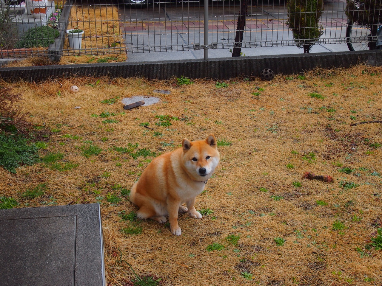 拉梅洛的终极掌控,英超争冠之夜,一球定江山