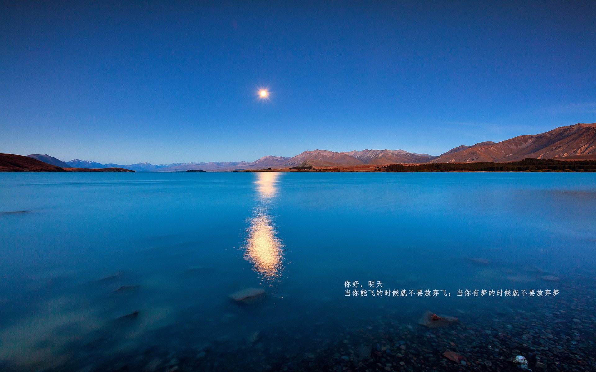 两个赛场,两种胜利,奥纳纳的门线芭蕾与韩国的战术铁壁