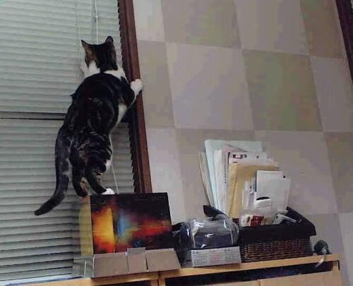 当雄鹿一波流带走广东,我们看见詹姆斯在季后赛的血脉觉醒