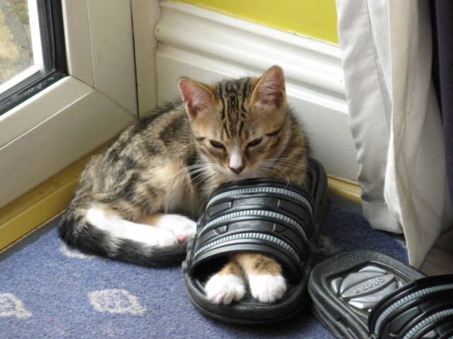 奥利维耶一捅破叹息之墙,中国足球今夜扬眉剑出鞘