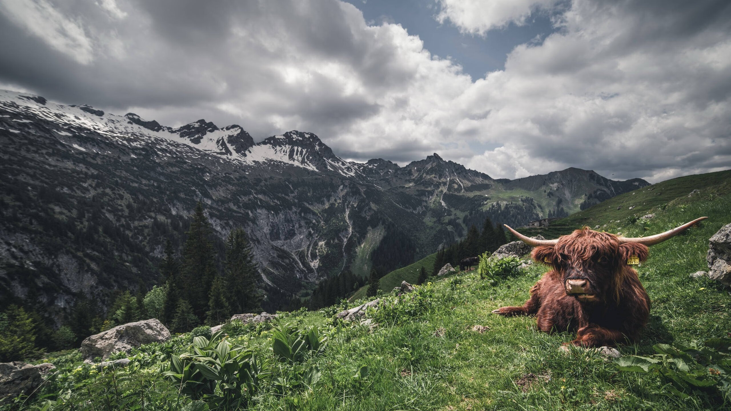 破界者，当金玟哉惊艳瑞士与巴拉圭的绿茵战场