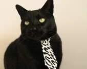 新王当立!活塞火力全开碾压勇士,拉梅洛·鲍尔在焦点战完成自我正名