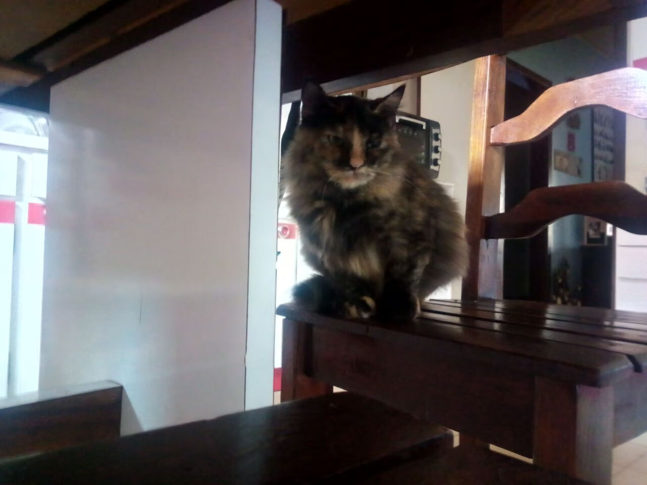 加维的统治之夜,欧冠淘汰赛攻防两端尽显锋芒